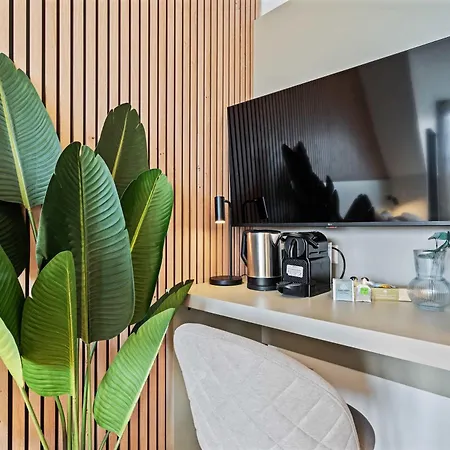 Premium Coliving For Professionals And Travelers Alike